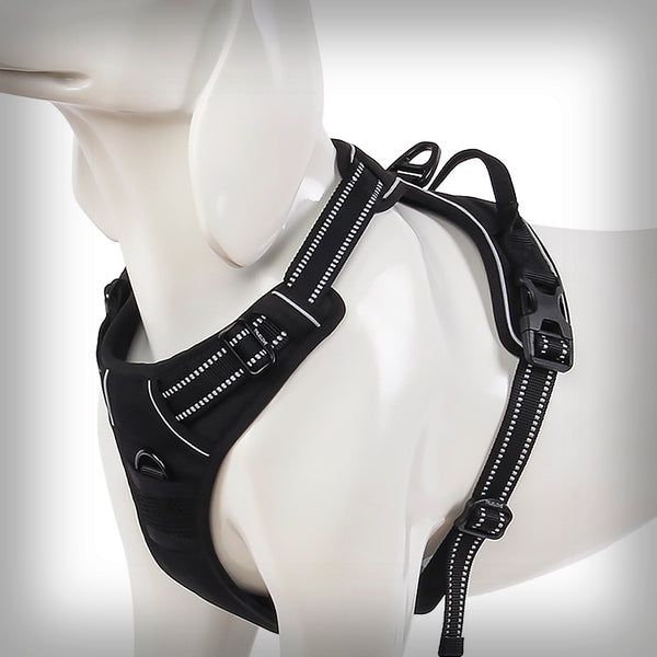 BRUSTGESCHIRR TL EDDA