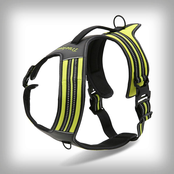 BRUSTGESCHIRR TL SKADI PLUS