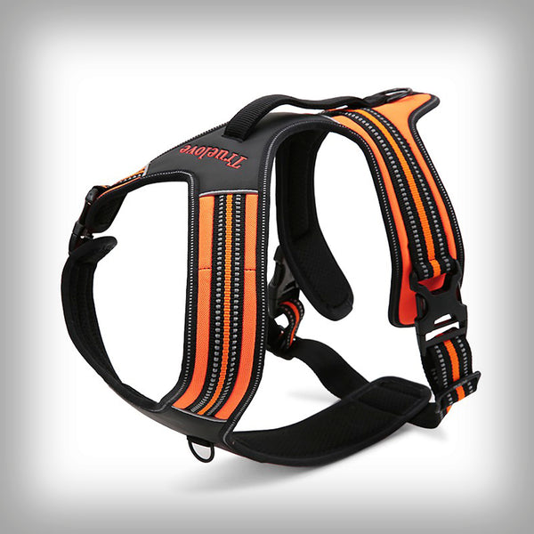 BRUSTGESCHIRR TL SKADI PLUS