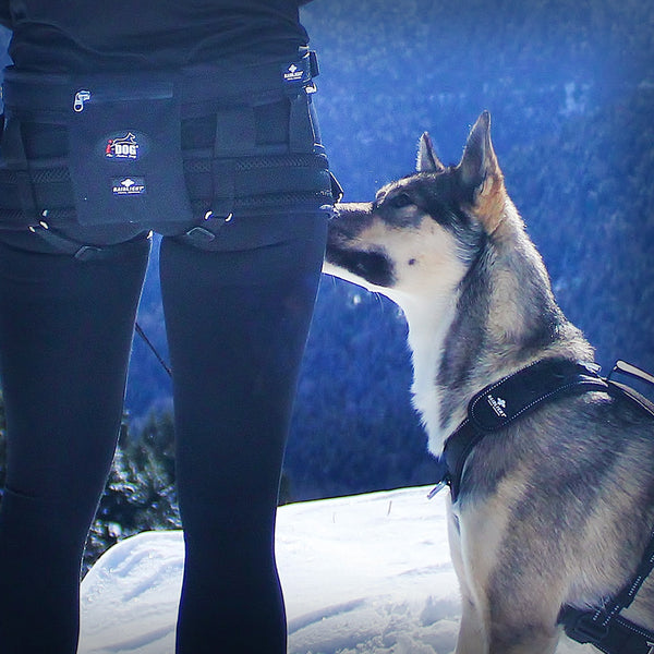 TASCHE FÜR HÜFTGURT RAIDLIGHT