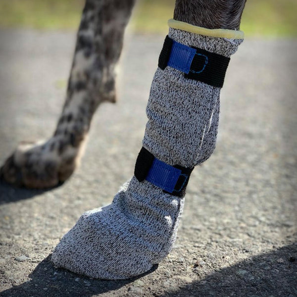 UNIVERSAL HIGH BOOTIES