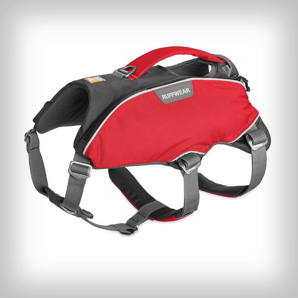 WEB MASTER PRO GESCHIRR