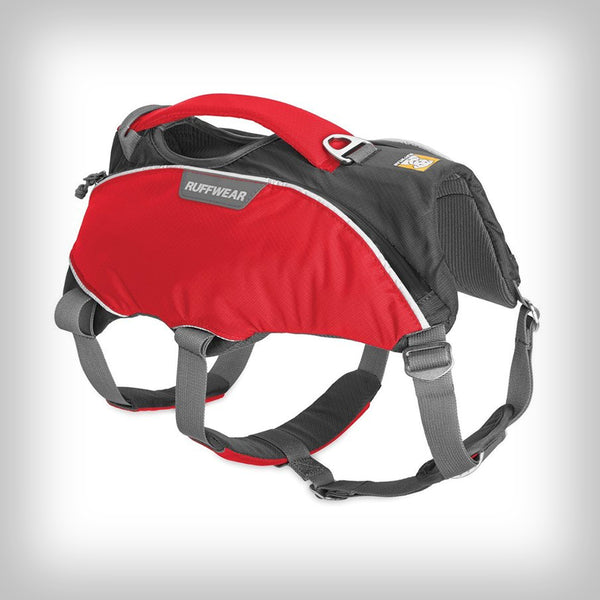 WEB MASTER PRO GESCHIRR