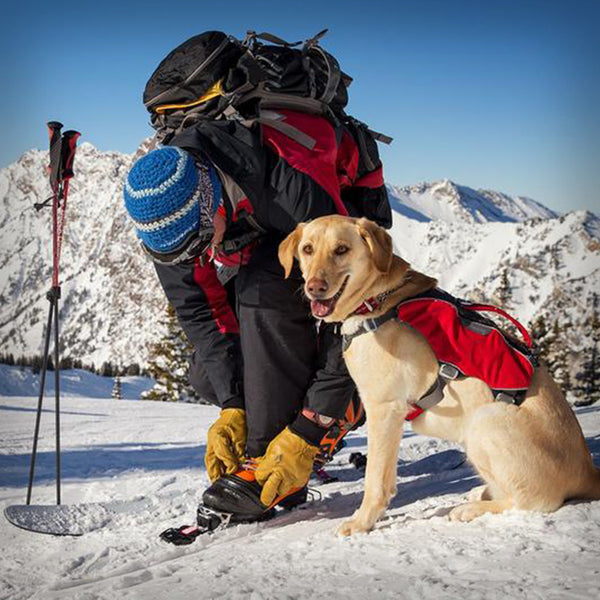 WEB MASTER PRO GESCHIRR