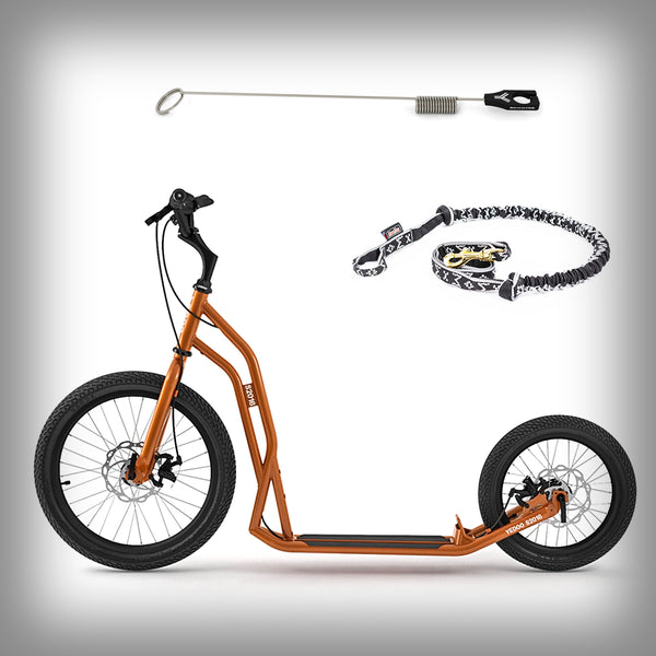 S2016 DISC SCOOTER DOG