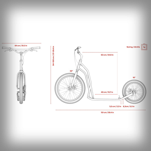 S2016 DISC SCOOTER DOG