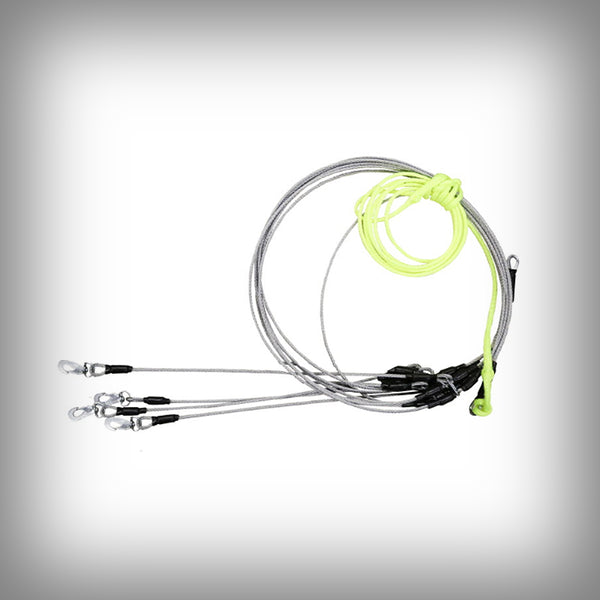 STAKE OUT FÜR 4 HUNDE