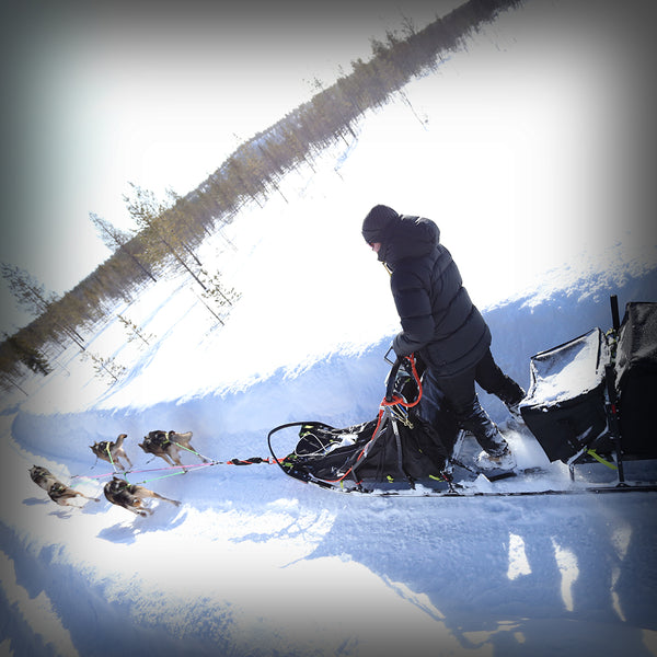 ZUGGARNITUR WHEEL-SECTION