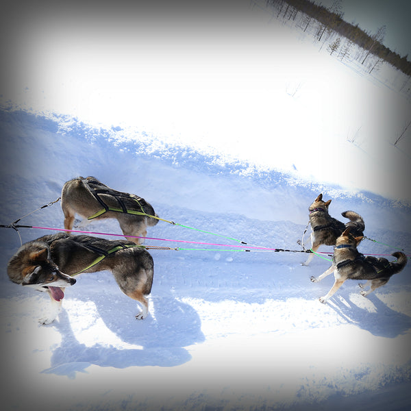 ZUGGARNITUR WHEEL-SECTION