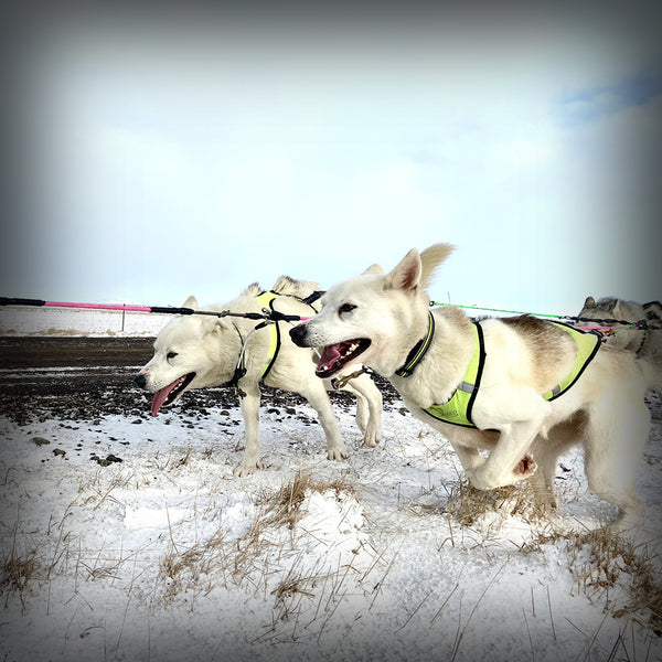 ZUGGARNITUR WHEEL-SECTION