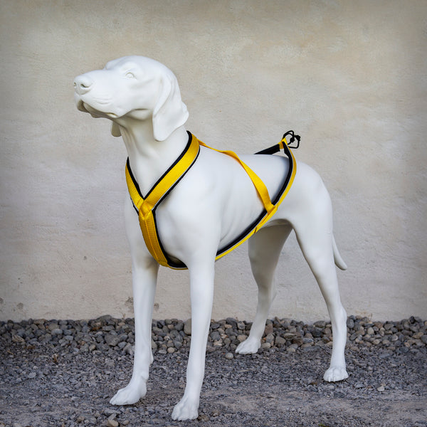 Yellow Dog Design Hundegeschirr „Ice Cream Cones“ – Größe S/M (35,6-50,8 Cm), Verstellbar