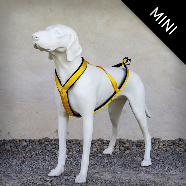 ZUGGESCHIRR SPEED LINE MINI