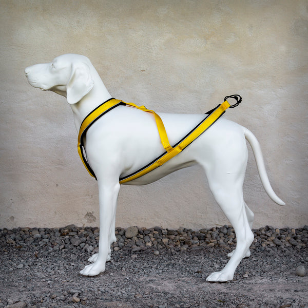 ZUGGESCHIRR SPEED LINE