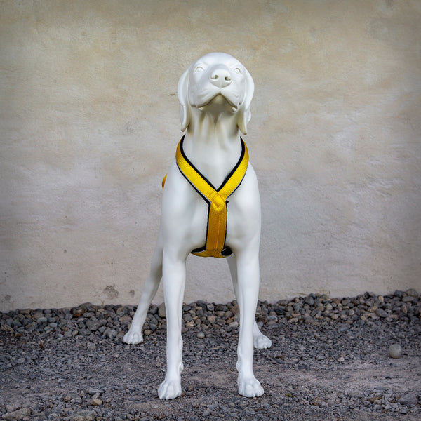 ZUGGESCHIRR SPEED LINE