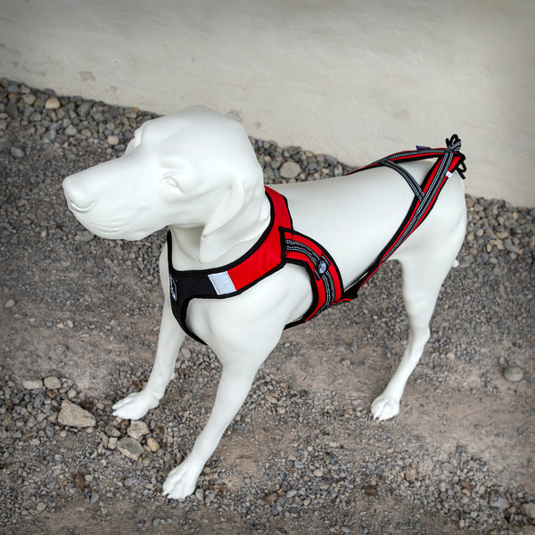 ZERO DC ZUGGESCHIRR HARNESS FASTER - Das Zuggeschirr Faster von ZERO DC hat einen V-Back Schnitt und ist auf dem Rücken komplett offen. Beim Faster Zuggeschirr wird die maximale Zugkraft über die gesamte Brust- und Schulterbreite verteilt, gleichzeitig erlaubt das Geschirr komplette Bewegungsfreiheit der Gliedmassen und des Rückens des Hundes...