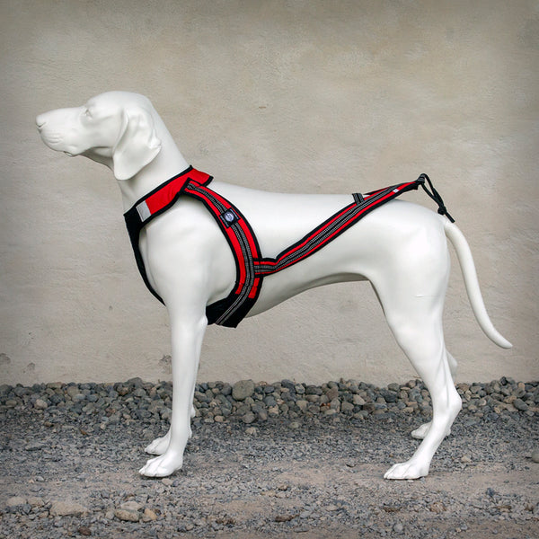 ZERO DC ZUGGESCHIRR HARNESS FASTER - Das Zuggeschirr Faster von ZERO DC hat einen V-Back Schnitt und ist auf dem Rücken komplett offen. Beim Faster Zuggeschirr wird die maximale Zugkraft über die gesamte Brust- und Schulterbreite verteilt, gleichzeitig erlaubt das Geschirr komplette Bewegungsfreiheit der Gliedmassen und des Rückens des Hundes...