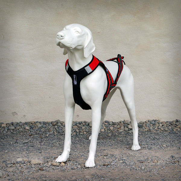 ZERO DC ZUGGESCHIRR HARNESS FASTER - Das Zuggeschirr Faster von ZERO DC hat einen V-Back Schnitt und ist auf dem Rücken komplett offen. Beim Faster Zuggeschirr wird die maximale Zugkraft über die gesamte Brust- und Schulterbreite verteilt, gleichzeitig erlaubt das Geschirr komplette Bewegungsfreiheit der Gliedmassen und des Rückens des Hundes...