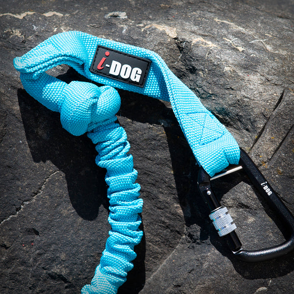 JÖRINGLEINE OPALE ALM FÜR 1-HUND