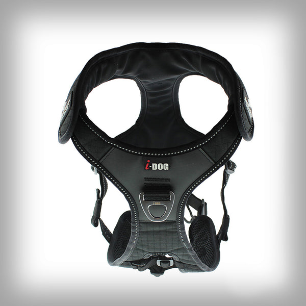 I-DOG RAIDLIGHT GESCHIRR