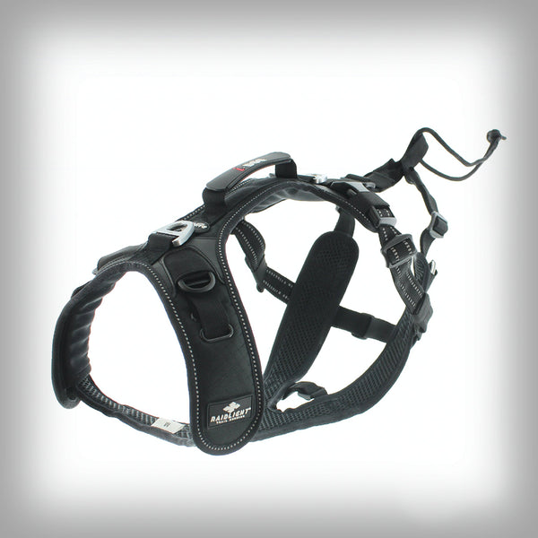 I-DOG RAIDLIGHT GESCHIRR