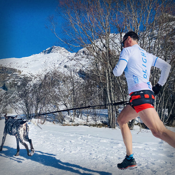 I-DOG RAIDLIGHT GESCHIRR