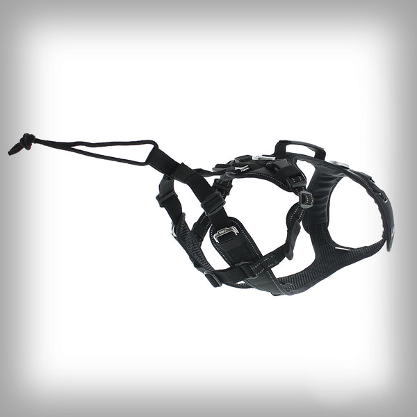 I-DOG RAIDLIGHT GESCHIRR