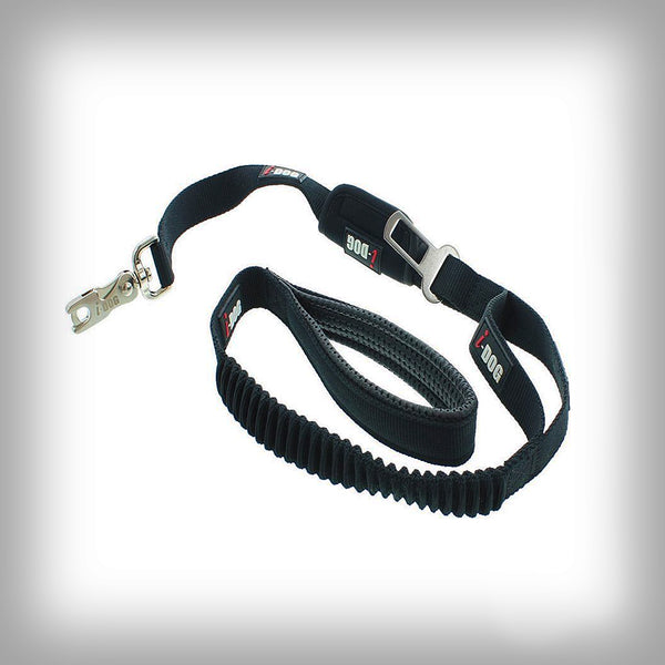 KURZLEINE FÜR AUTOGURT