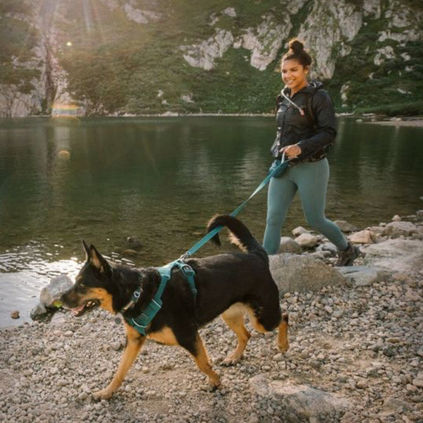 Ruffwear Geschirre Front Range