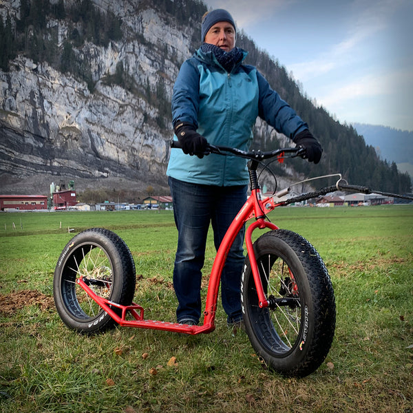 Dogscooter für Hundesport