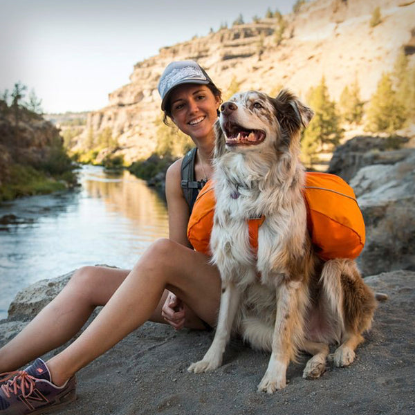 Gib deinem Hund eine Aufgabe- du wirst sehen, dass er dies gerne macht. Mit unseren Hunde-Rucksäcken und Packtaschen seit ihr bestens gerüstet auch auf längeren Etappen. Verschiedene Grössen und Ausführungen für alle Ansprüche.