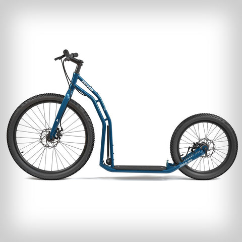 ARNI DISC 26"