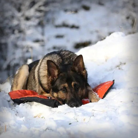 NON-STOP BIVVY BED