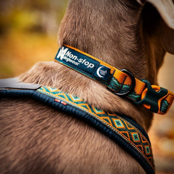 Lupine Halsband Für Kleine Hunde (bis 9kg) – Gewebtes Muster, 1,27cm Breit, Waschbar, In Vielen Designs