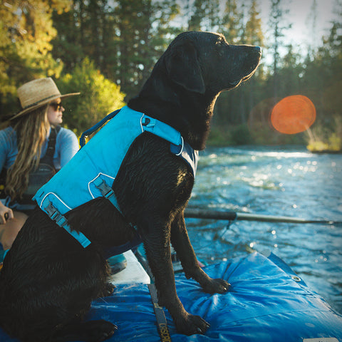 CONFLUENCE DOG SCHWIMMWESTE