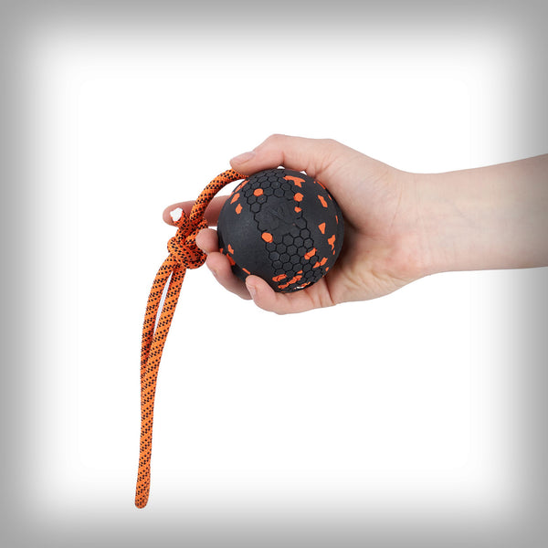 NON-STOP DOG BALL MIT SEIL