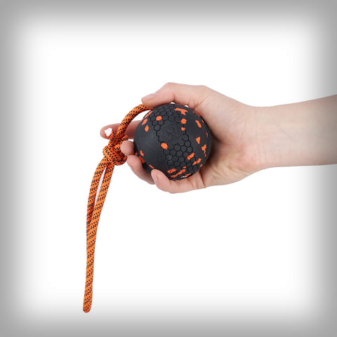 NON-STOP DOG BALL MIT SEIL