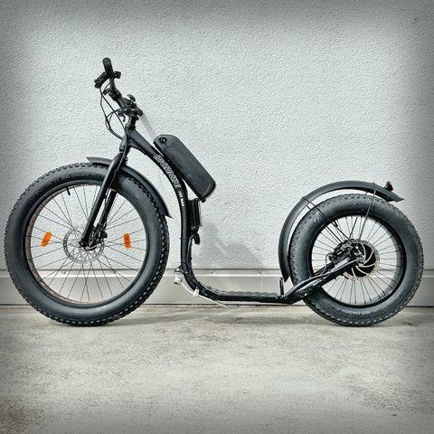 E-SCOOTER FATMAX E1000 OCCASION