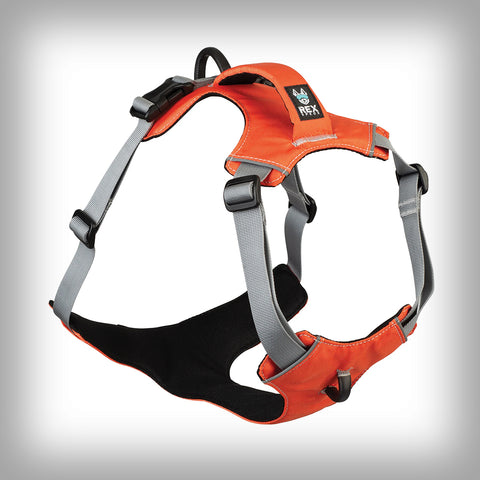 REX SPECS TRAILHEAD GESCHIRR