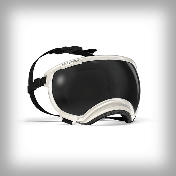 REX SPECS HUNDEBRILLE V2 MEDIUM