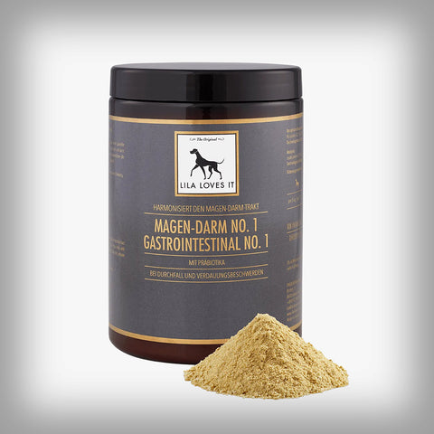 MAGEN-DARM NO. 1