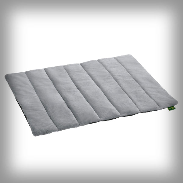 HUNTER REISEDECKE ROCKFORD