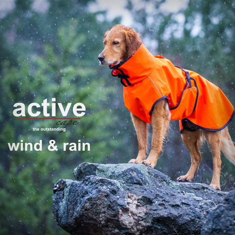 ACTIVE CAPE WIND & RAIN