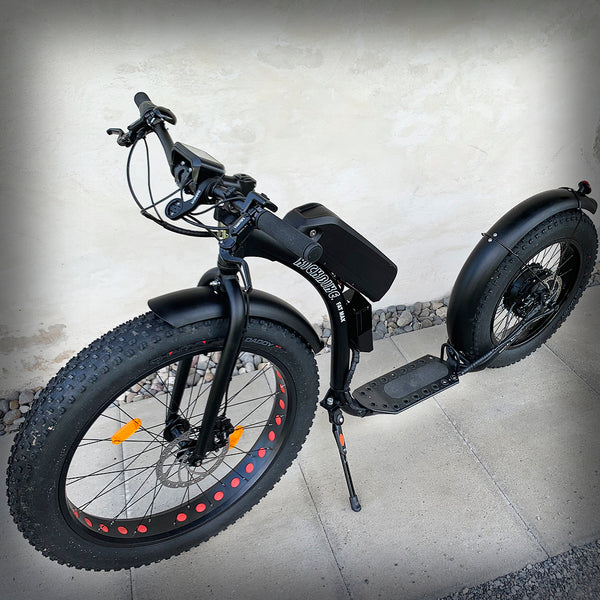 Fatmax cheap electric bike