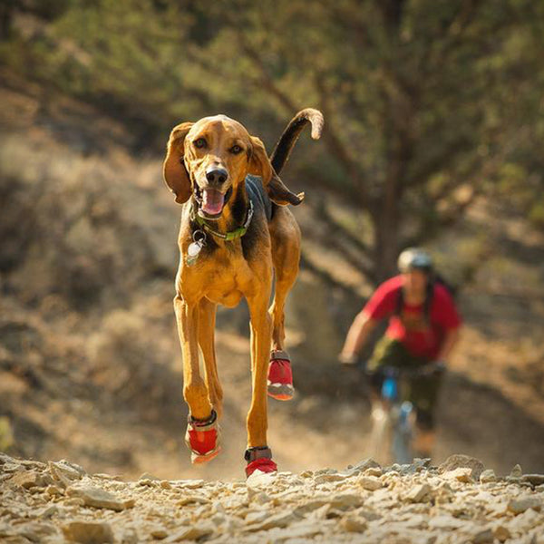 GRIP TREX HUNDESCHUHE – SCOOTERSPORT