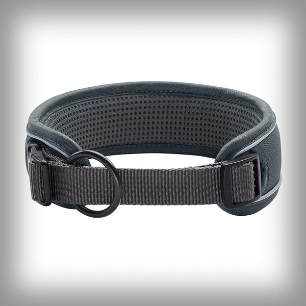 BREITES HALSBAND DIVO – SCOOTERSPORT