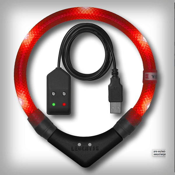 LEUCHTI PRO EASY CHARGE- gehört zu den professionellsten Hundeleuchten welche es auf dem Markt gibt. Die äusserst stabile Verarbeitung garantiert eine lange Lebensdauer. Dies sind die Vorteile der Leuchten: