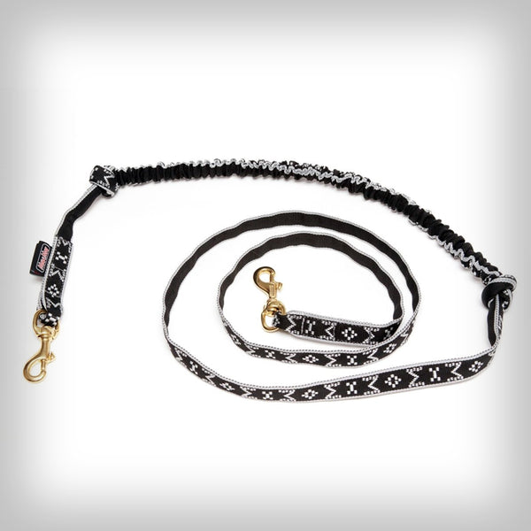 ZUGLEINE FÜR 1-HUND 2-KARABINER