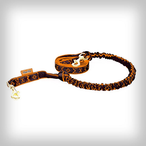 ZUGLEINE FÜR 1-HUND 2-KARABINER