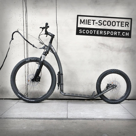 LANGZEIT-MIETE MUSHING MAX