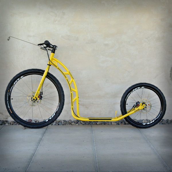 CANE D SCOOTER "DER LETZTE"